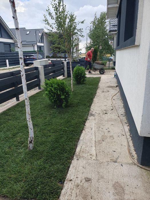 Gazon rulou sport calitate