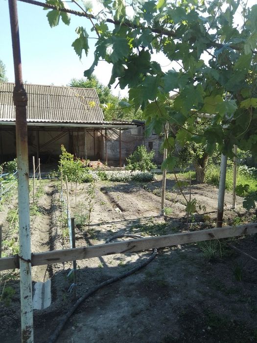 Срочно продается дача-ферма в Янгийул тумани А.Ортиков СВТ,, Рассвет,,