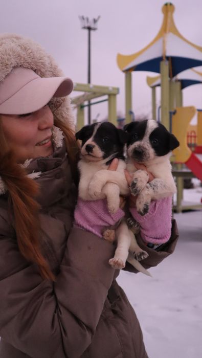 Срочно! Отдадим щенят в добрые руки!