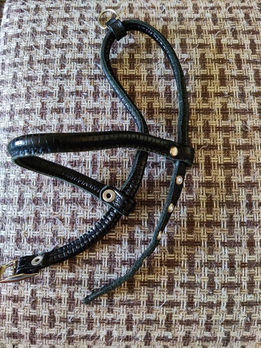 Шлейка для шпица, маленьких собак