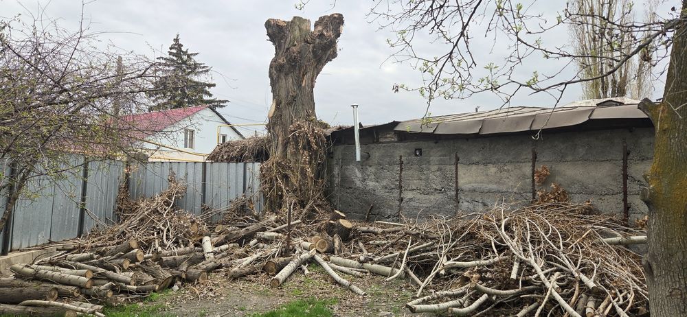 Дрова бесплатно самовывоз