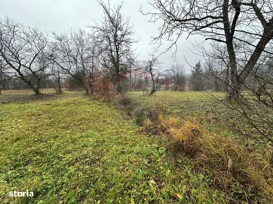 Tautii-Magheraus - TEREN  DE VANZARE