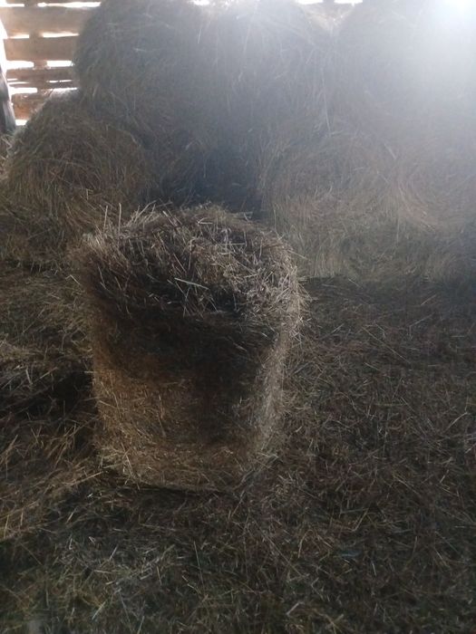 Baloti fan rotunzi 60/70