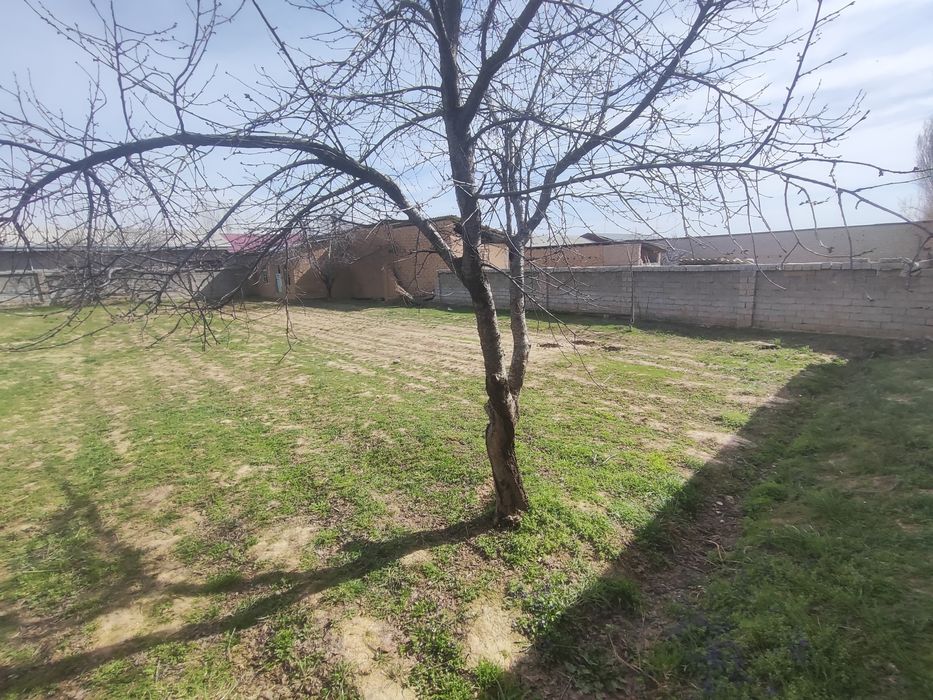 Yer sotilad 3/5 sotiq 14.000