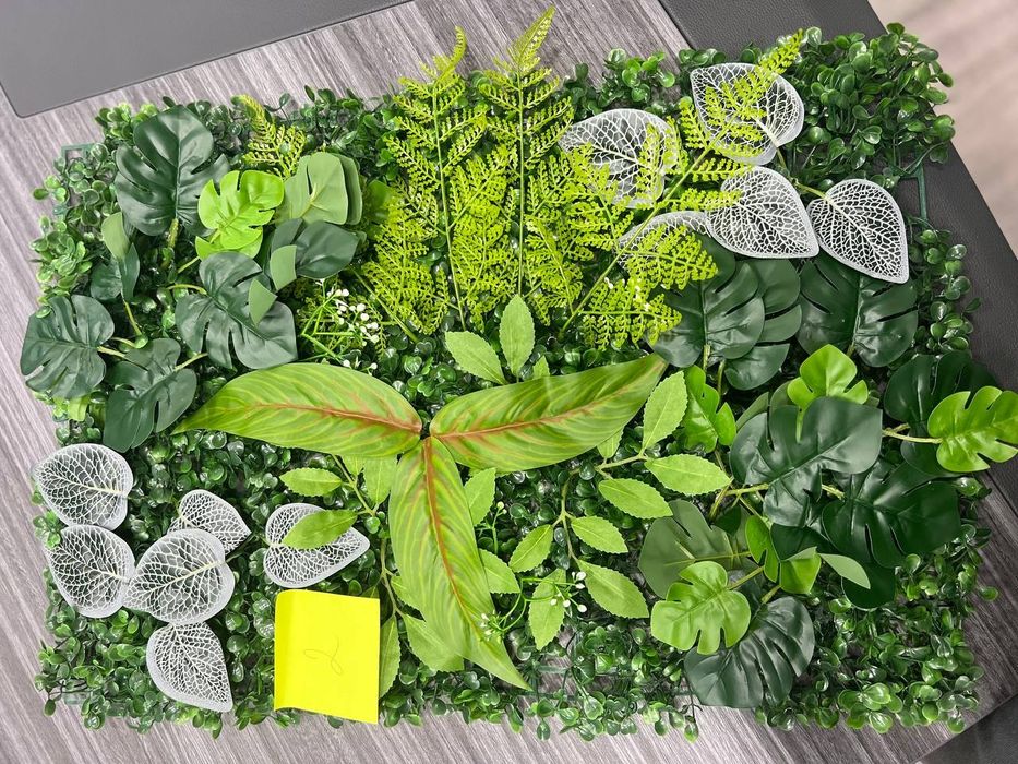 Yashirin kamerada olingan bokira qizlarning roziligisiz pornografiya