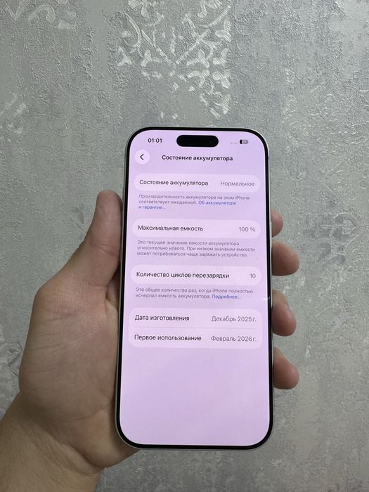 17 pro silver 256 tali 100% yomkist sim+esim