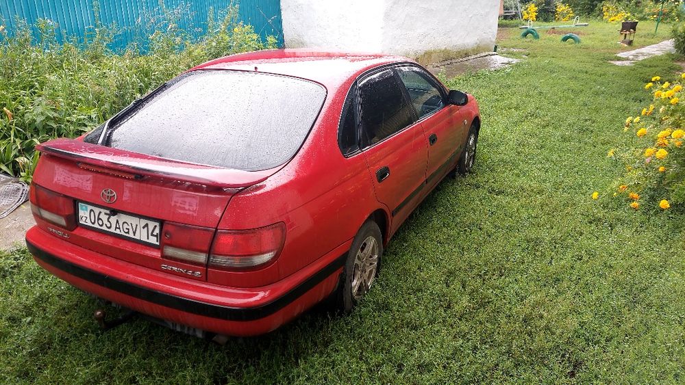 Карина Е хетчбек