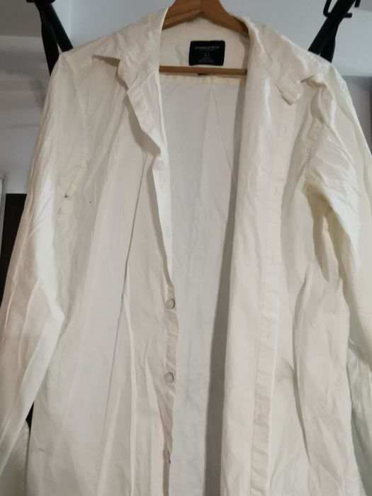 Camasa Springfield alba, L