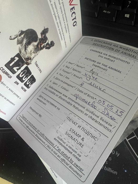 Намерени кученца търсят своя нов дом!