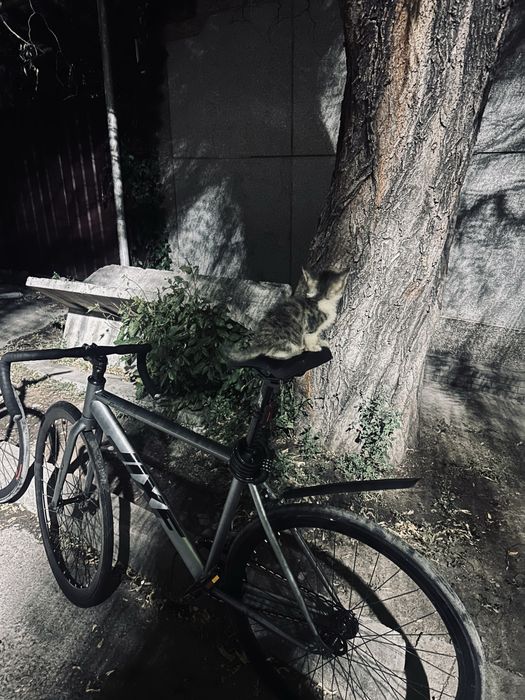 Fixed gear,Tsunami,Jixf