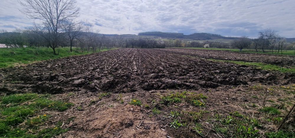 Casa de vanzare in Almasu, Salaj + teren 3600mp + 4 ha teren extravilan