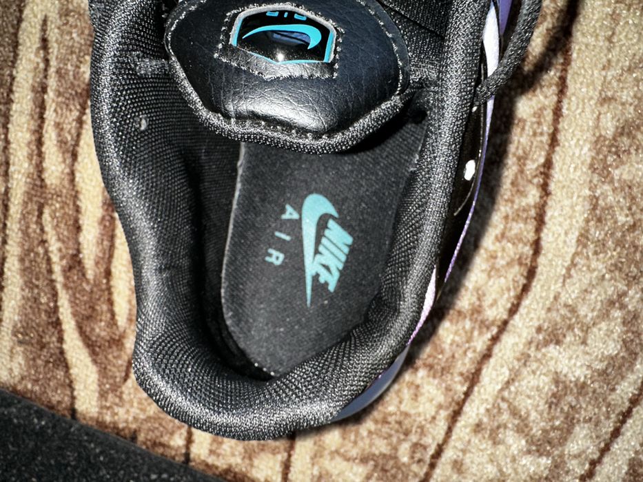 Nike air max plus TN