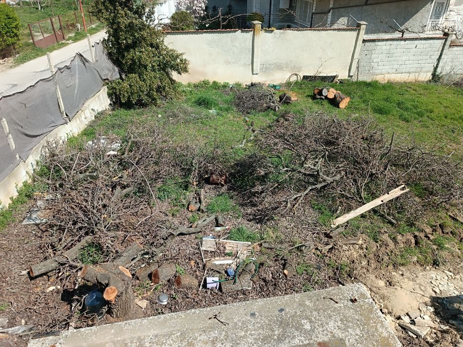 Продавам дърва за огрев, евтино.