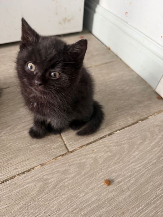 Заберите меня домой