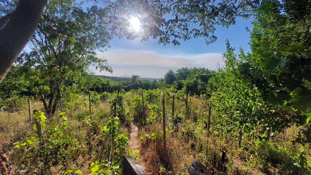 Продава се Парцел в Русе, Долапите - 875 кв.м за 5 €/кв.м - Снимка #8