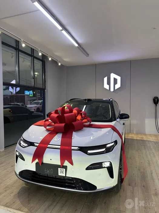 Leapmotor C11 rassrochkaga bor