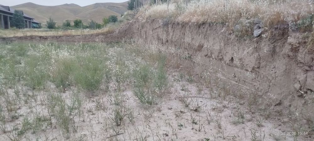 Миракида 8 сот. ер сотилади