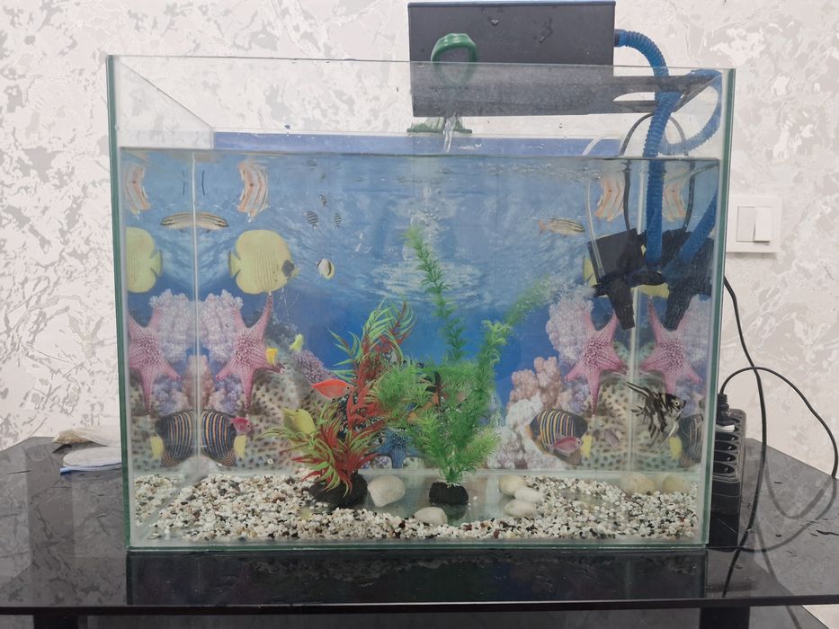 Продам аквариум с рыбками