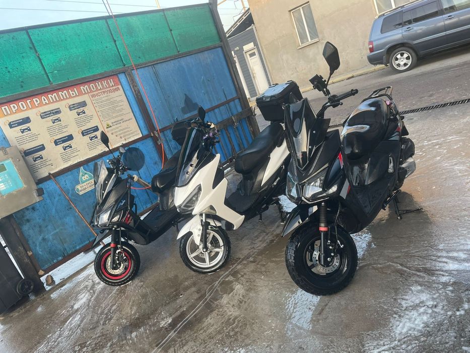 Аренда   мопедов