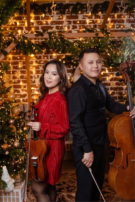 Виолончелист на Ваш праздник