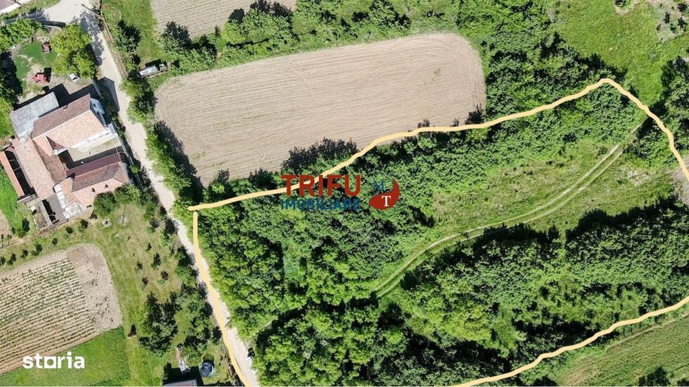 Teren intravilan 4600mp in Oarda de Sus