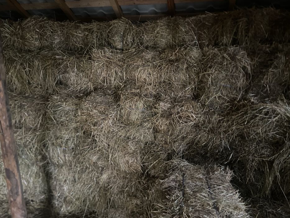 Baloți de fân de vânzare