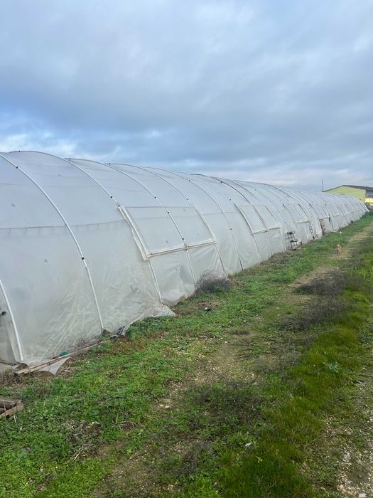 Полиетиленови оранжерии