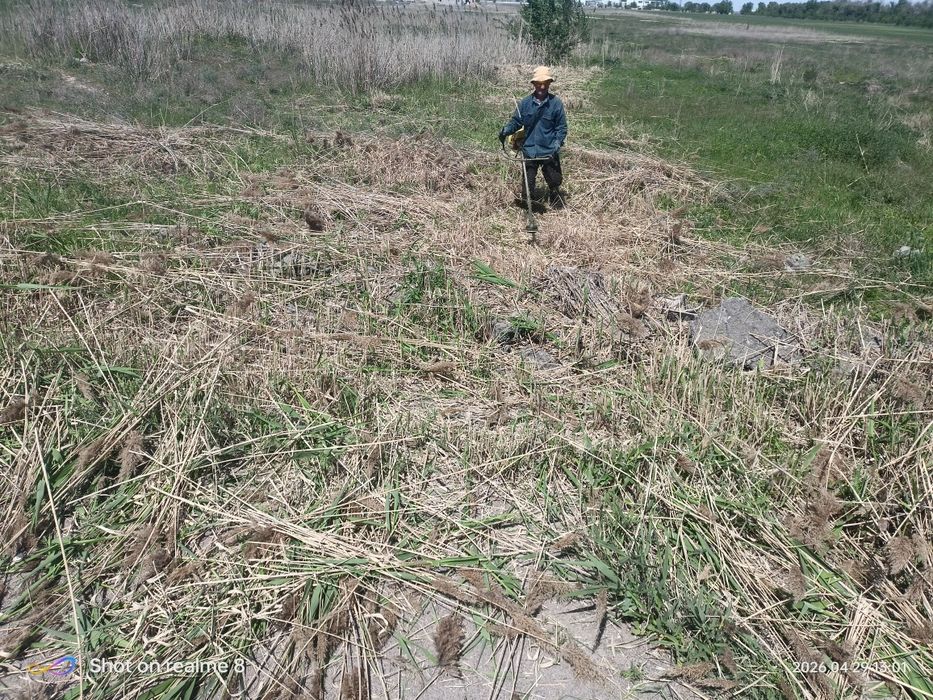 Покос травы , гектары, сотки