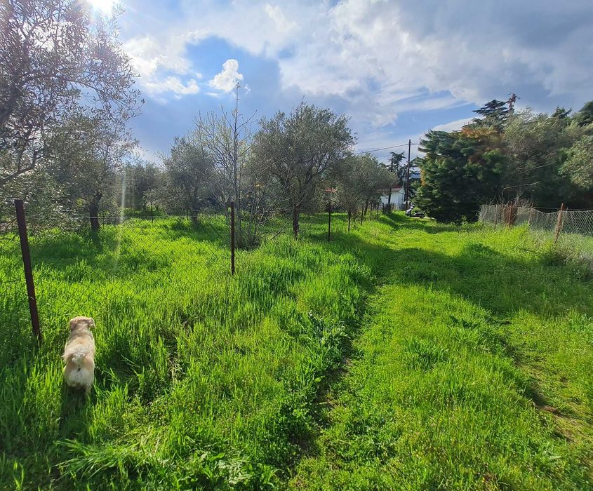 Продава парцел 780 м2 в Аспровалта, Гърция