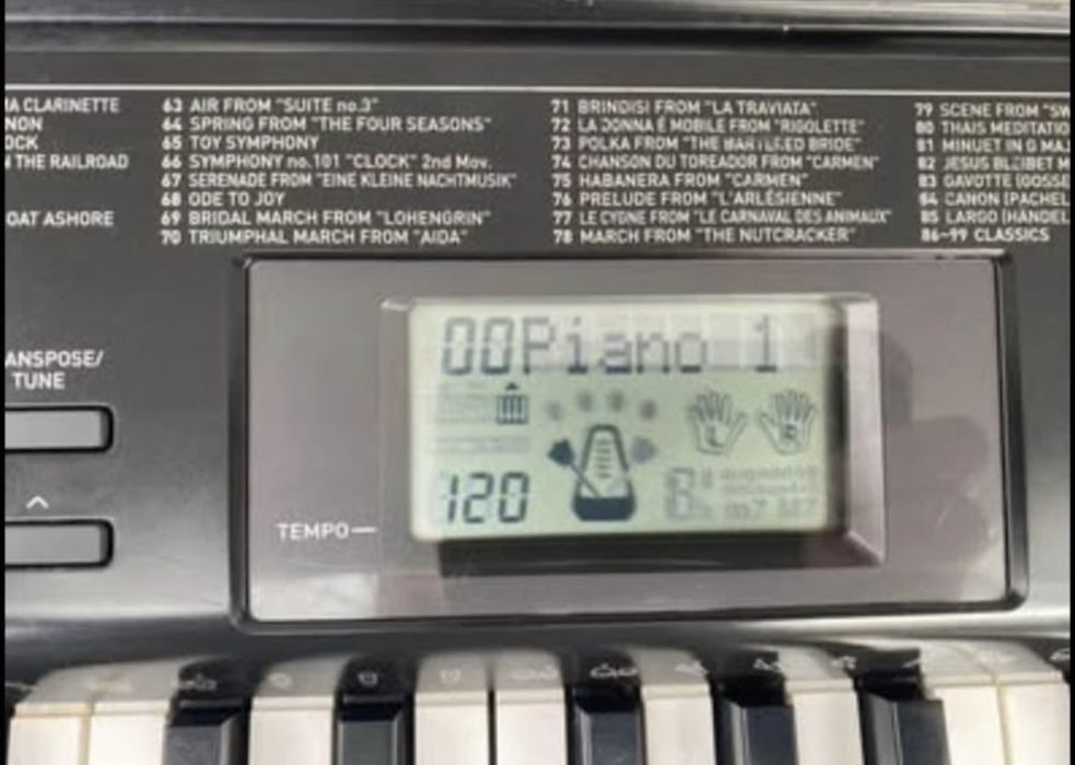 Casio CTK-1100 pian digital / orga electronica
