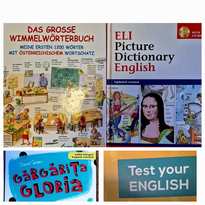 Lot dictionare in imagini si carte bilingva