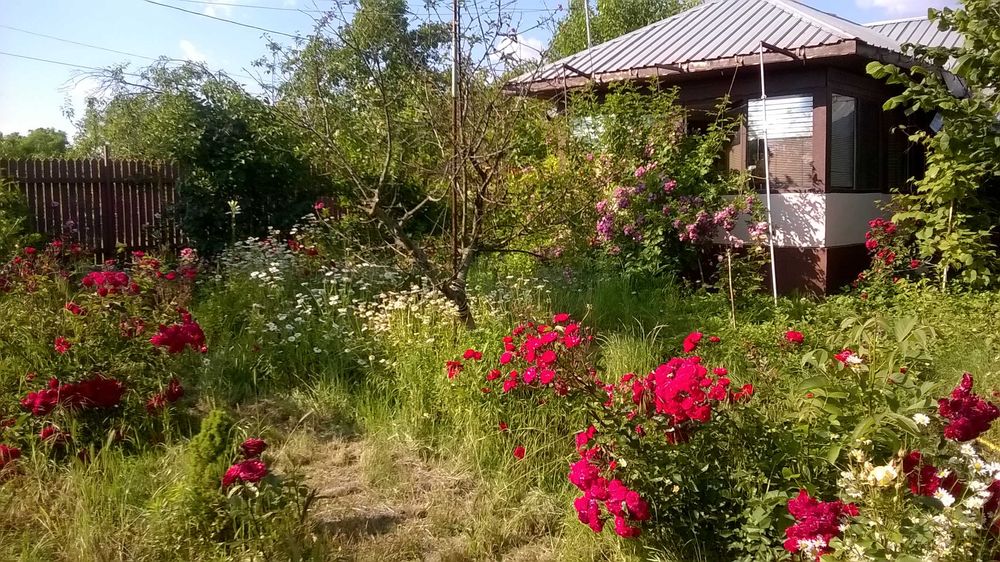 casă comuna Stănești Giurgiu