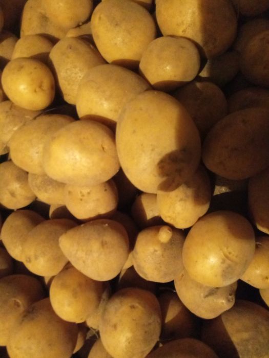 Картошка картофель