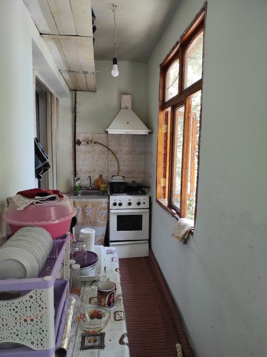 Barcha porno talabalar kuni