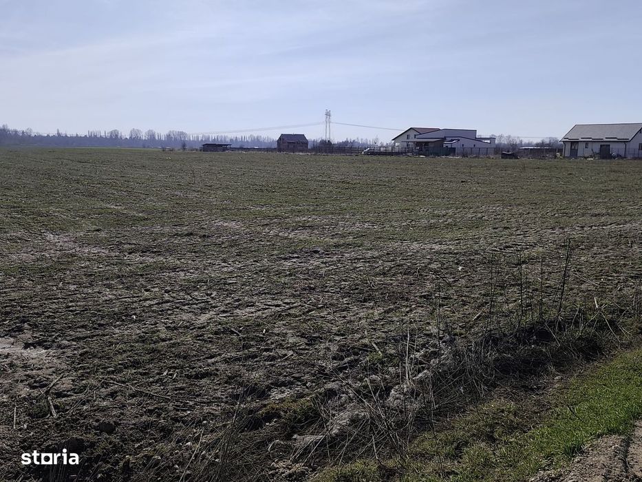 FARA COMISIOANE in Sabareni teren in suprafata de 23200mp gaze curent