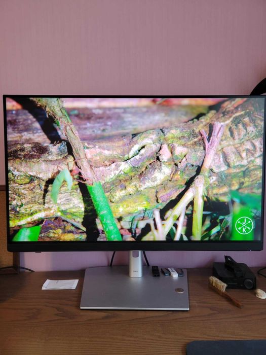 Професионален 32" 4K монитор Dell UP3221Q – с изключителни цветове