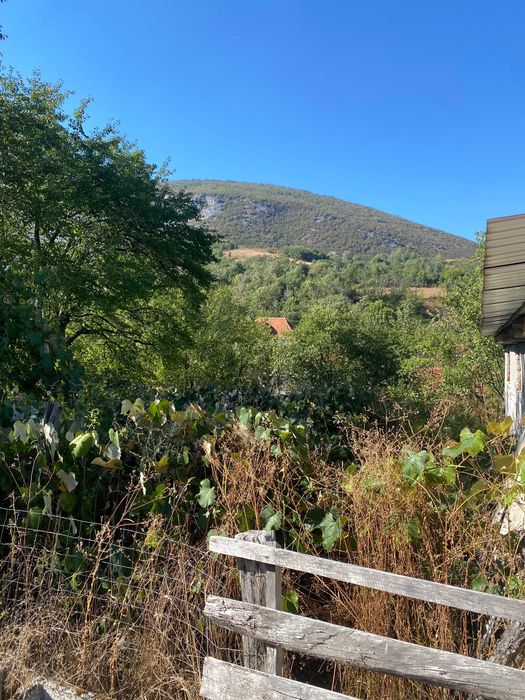 vand casa cu gradina