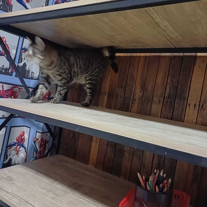 Стеллаж бу в хорошем состоянии