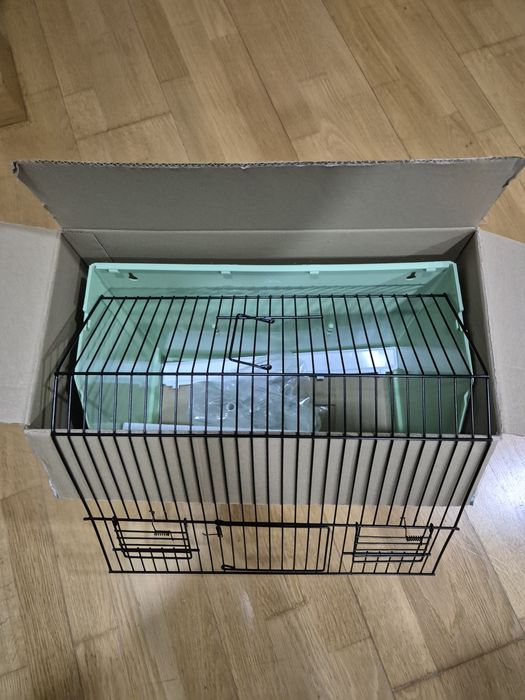 Colivie expo absolut noua