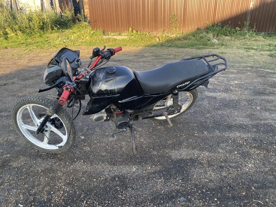 продам альфу чамп