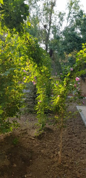 Продаётся  Благоустроенная Дача