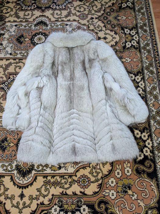 M. Blană vulpe argintie.