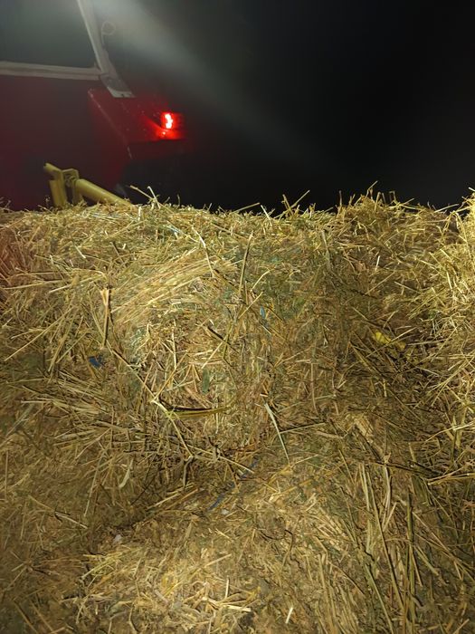 Vând baloți lucernă