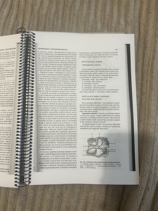 Anatomia Omului Victor Papilian Volumul 1 si 2