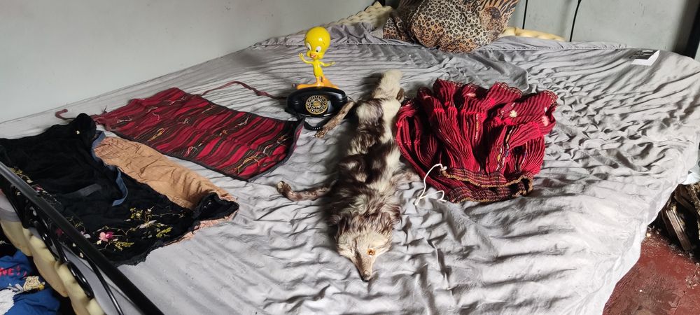 Антикварни неща имат и монети