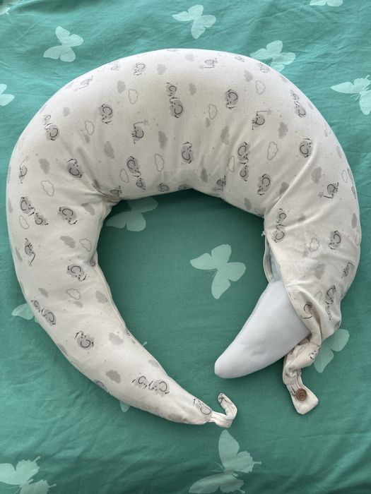 Perna gravide alaptare bebelusi