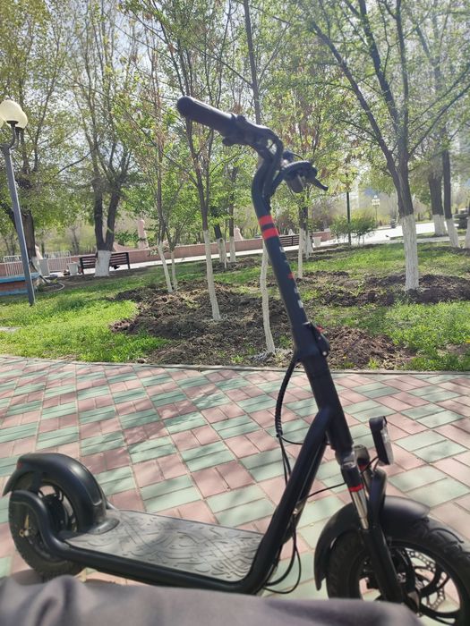 Самокат Tribe Drrakar