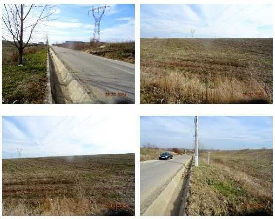 Teren intravilan 8757 mp Pielesti - deschidere 72m la strada asfaltata