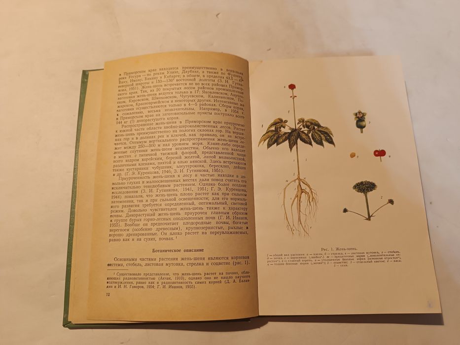 Жень-Шень книга 1957