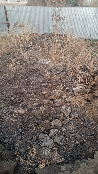 Навоз, перигной ,бараний,самовывоз